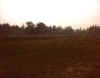 Davis_Speedway_Site_1970s_2.JPG (197021 bytes)