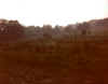 Davis_Speedway_Site_1970's.JPG (214537 bytes)