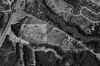 Malletts_Bay_Aerial.jpg (50880 bytes)