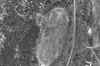 Northfield_Terraserver.jpg (57633 bytes)