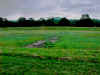 PitRow_Remnants.JPG (79329 bytes)