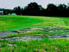 TurnOne_Remnants.JPG (90702 bytes)