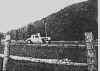 bardwell_at_speed_cheshire.jpg (208934 bytes)