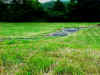 pitramp_remnants.jpg (103823 bytes)